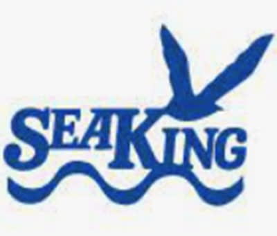 Seaking - Partner Lean Creative
